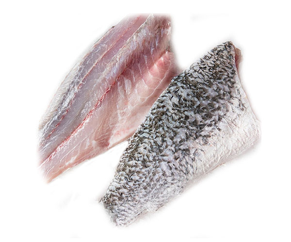 Barramundi fish fillet